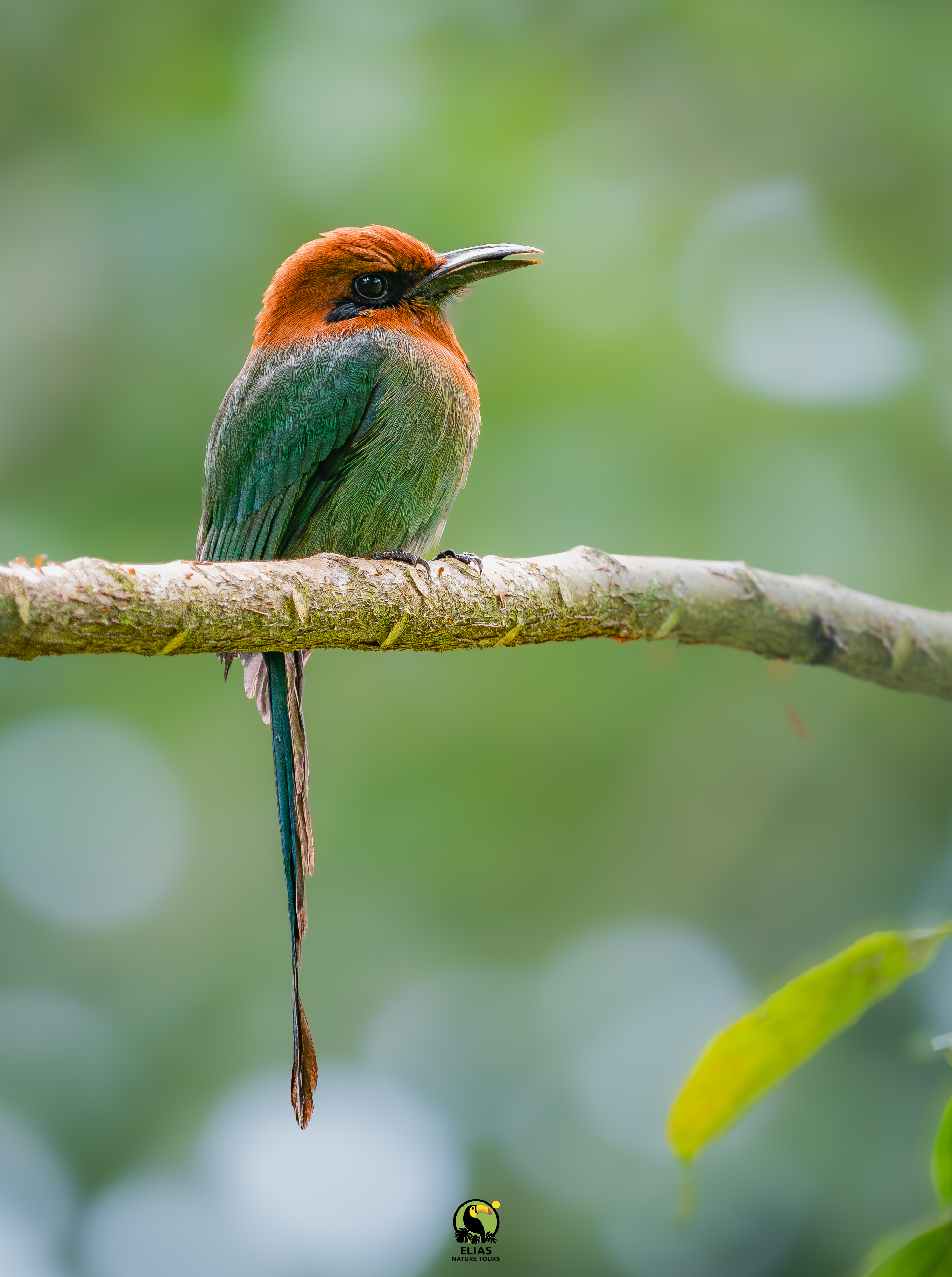 Costa Rica nature tour photo