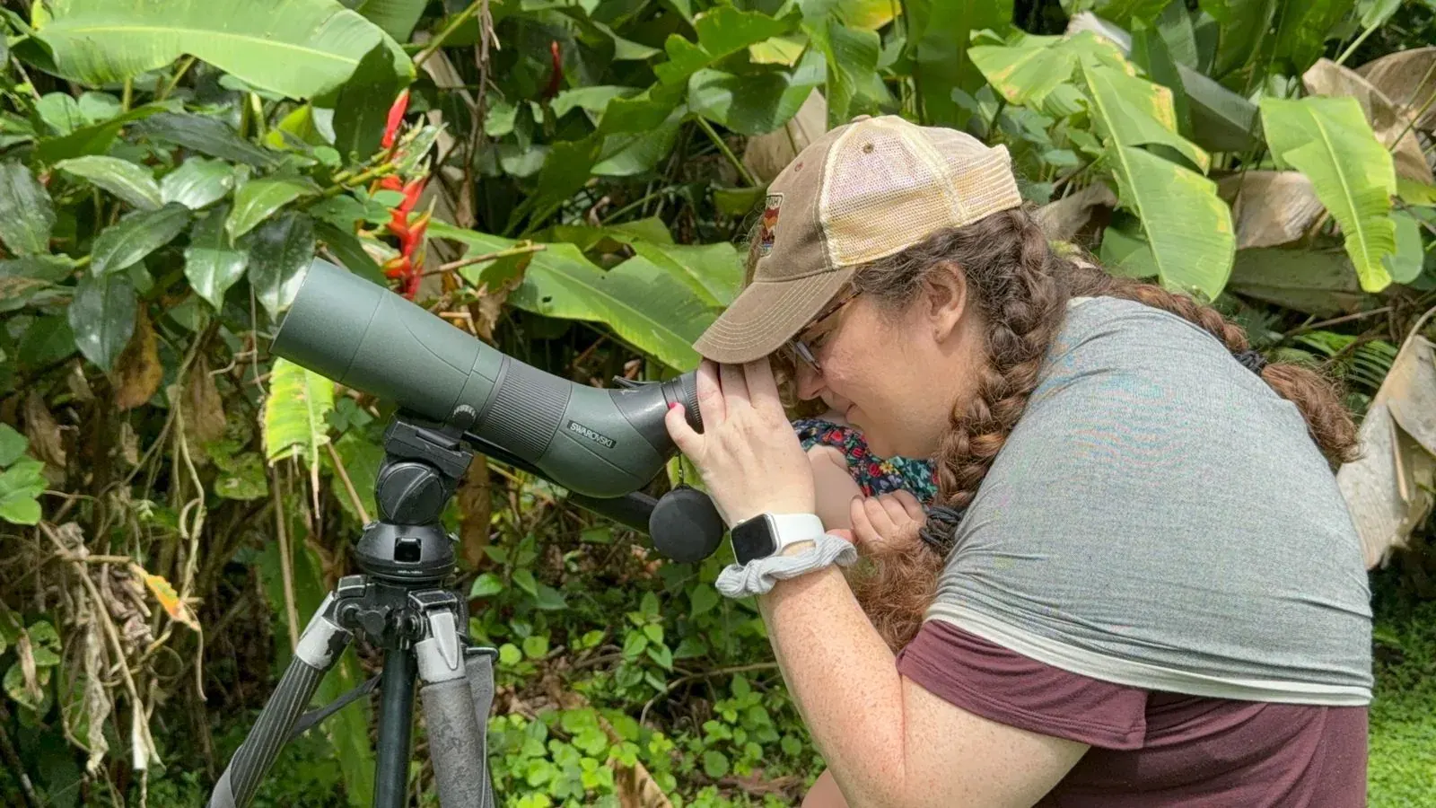 Costa Rica nature tour photo