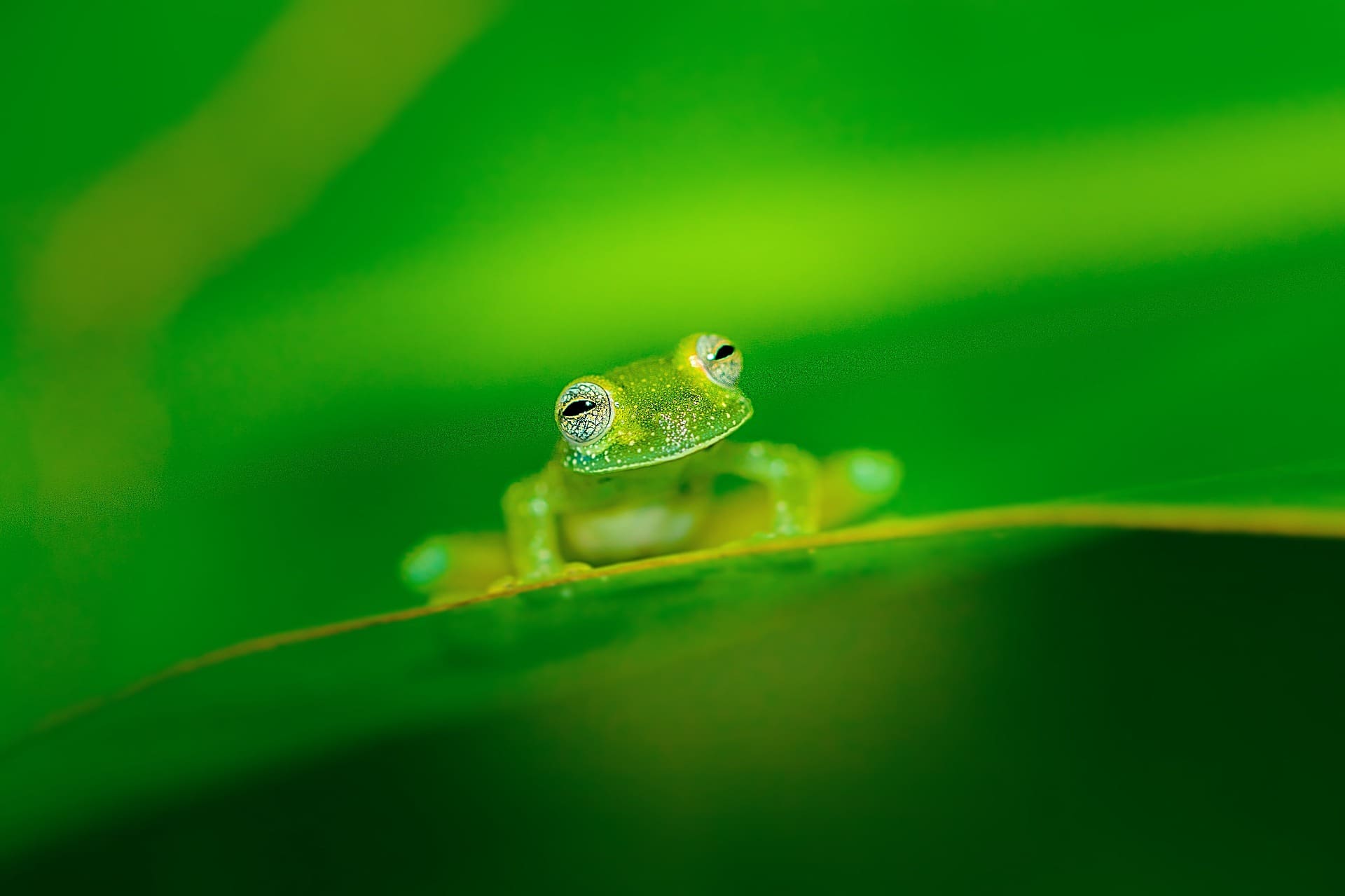 Costa Rica nature tour photo