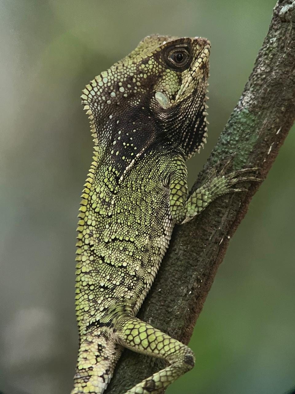Costa Rica nature tour photo