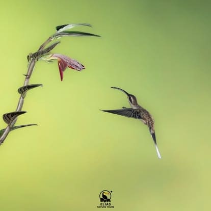 Costa Rica nature tour photo