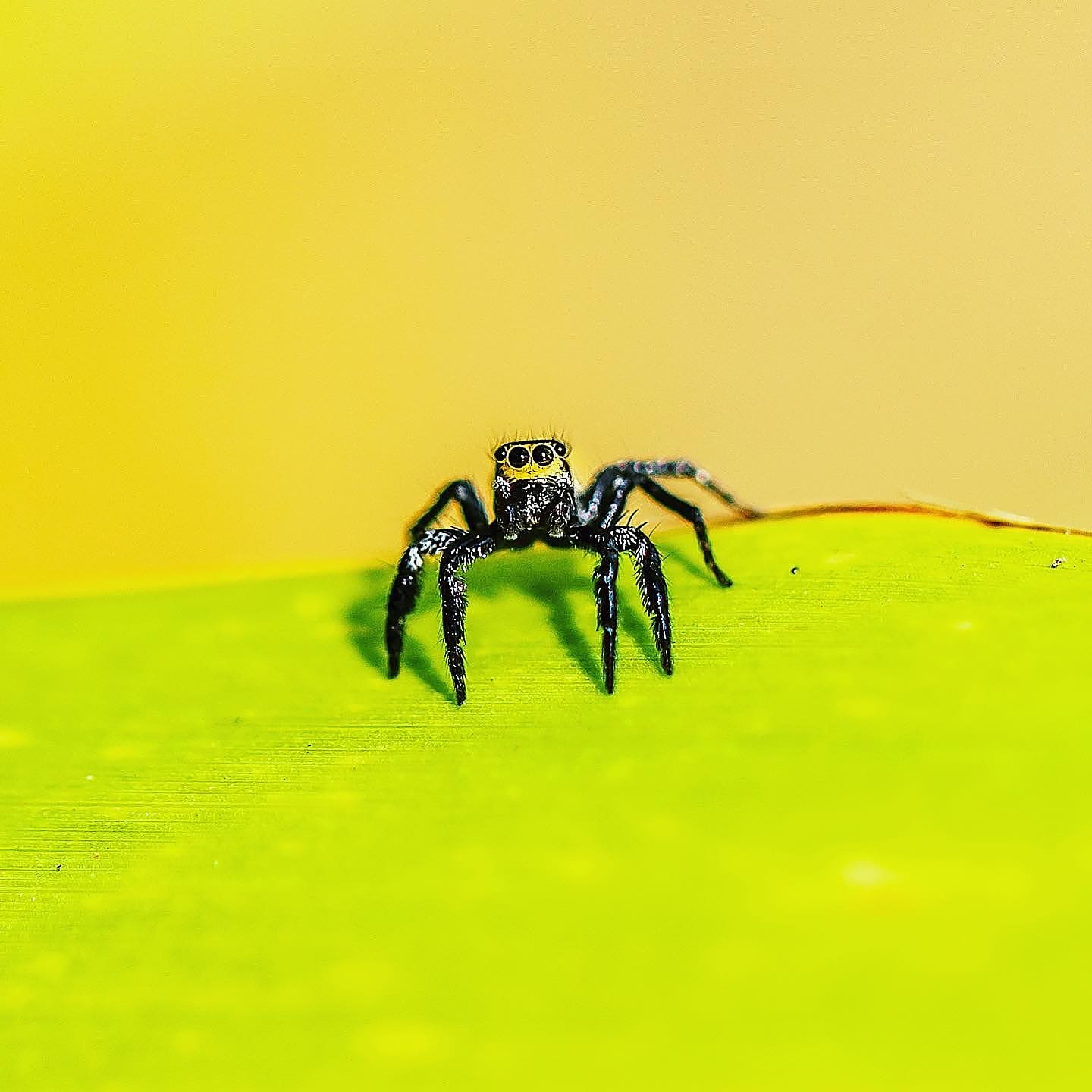 Costa Rica nature tour photo