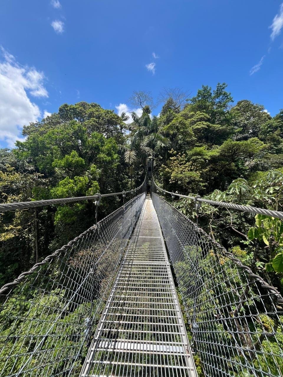 Mistico Hanging Bridges – Wildlife Walk