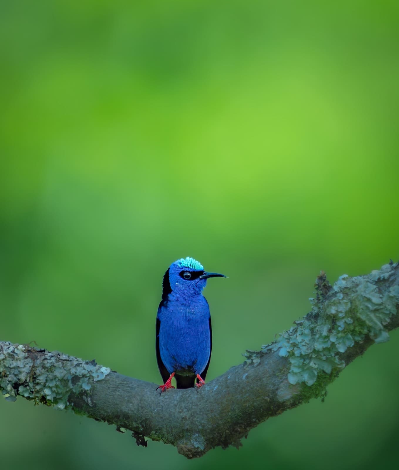 Costa Rica nature tour photo