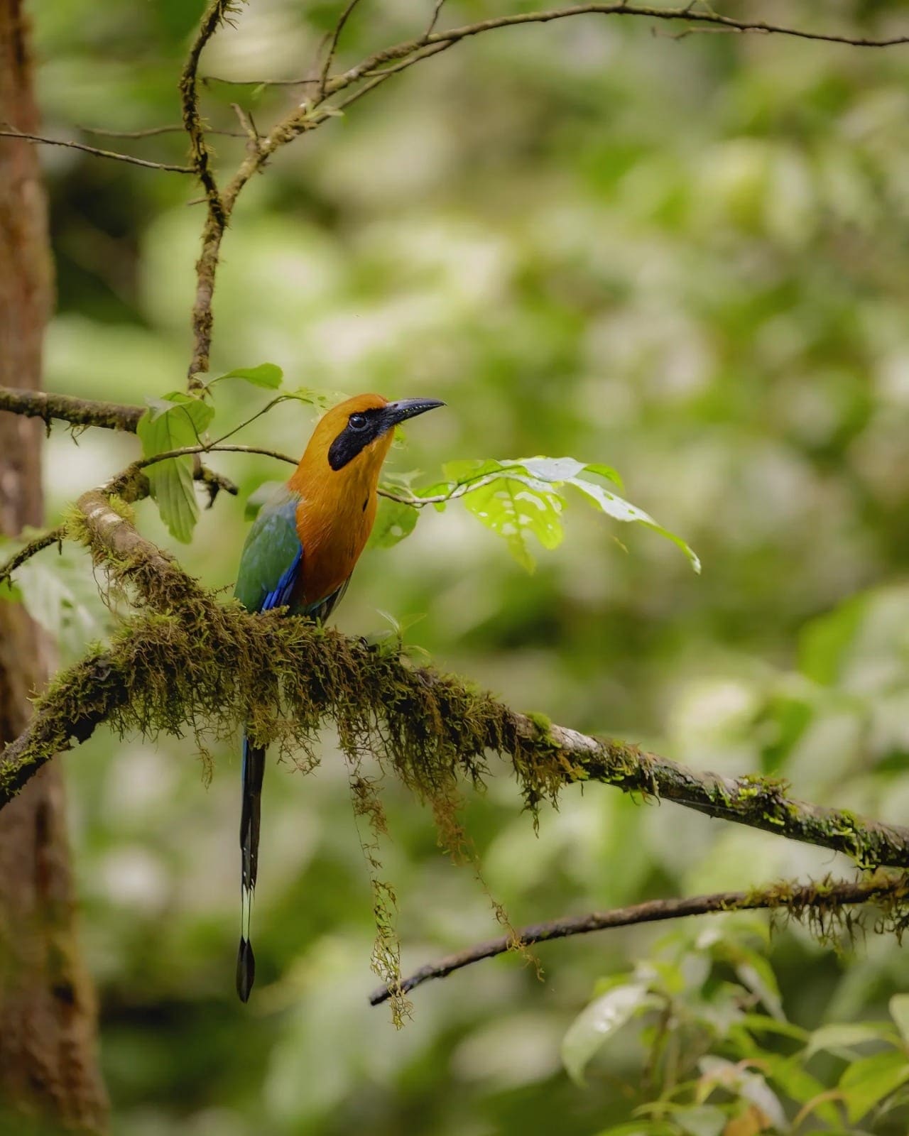 Costa Rica nature tour photo