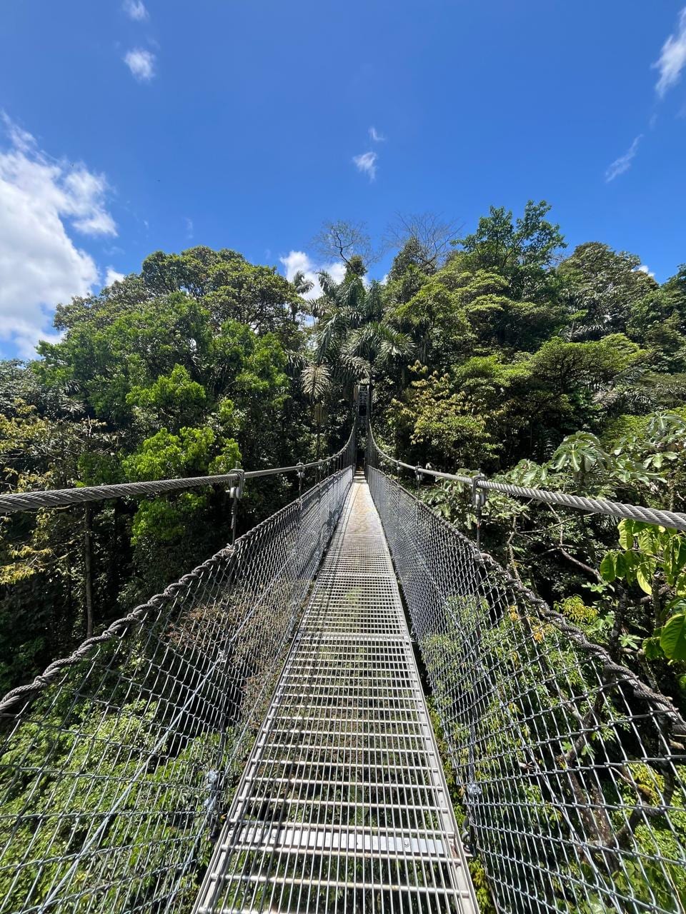 Mistico Hanging Bridges
